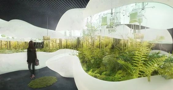 双碳主题展厅设计